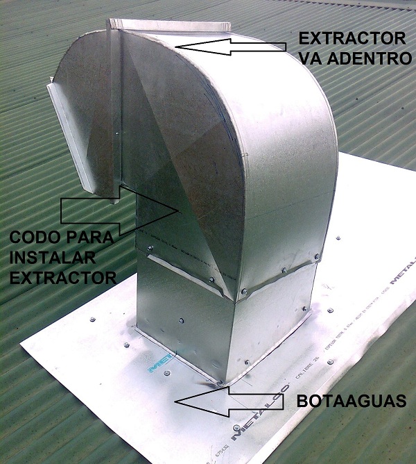 lorem ippsum dolor dummy