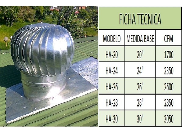 lorem ippsum dolor dummy