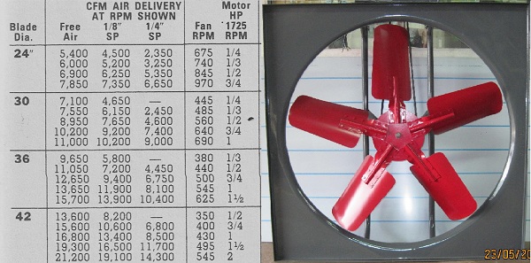 lorem ippsum dolor dummy