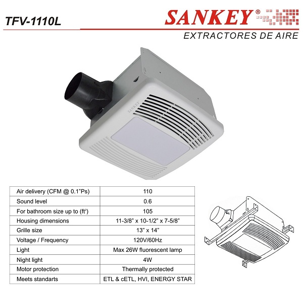 lorem ippsum dolor dummy