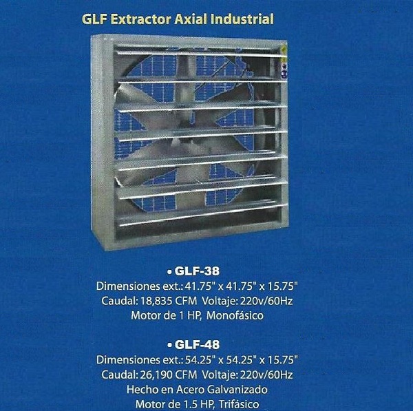 lorem ippsum dolor dummy