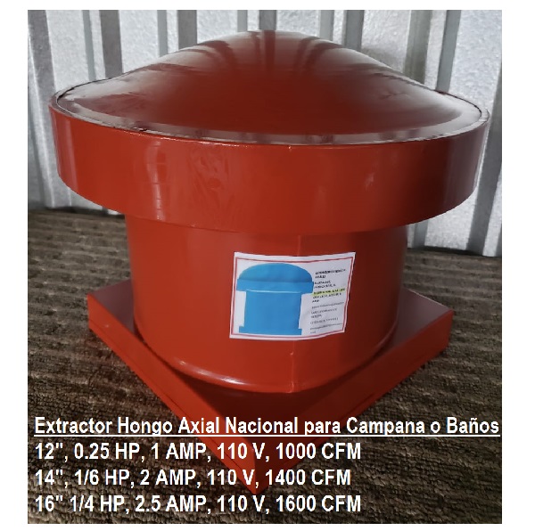 lorem ippsum dolor dummy