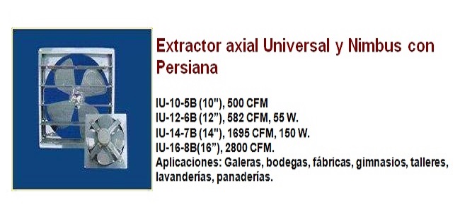 lorem ippsum dolor dummy