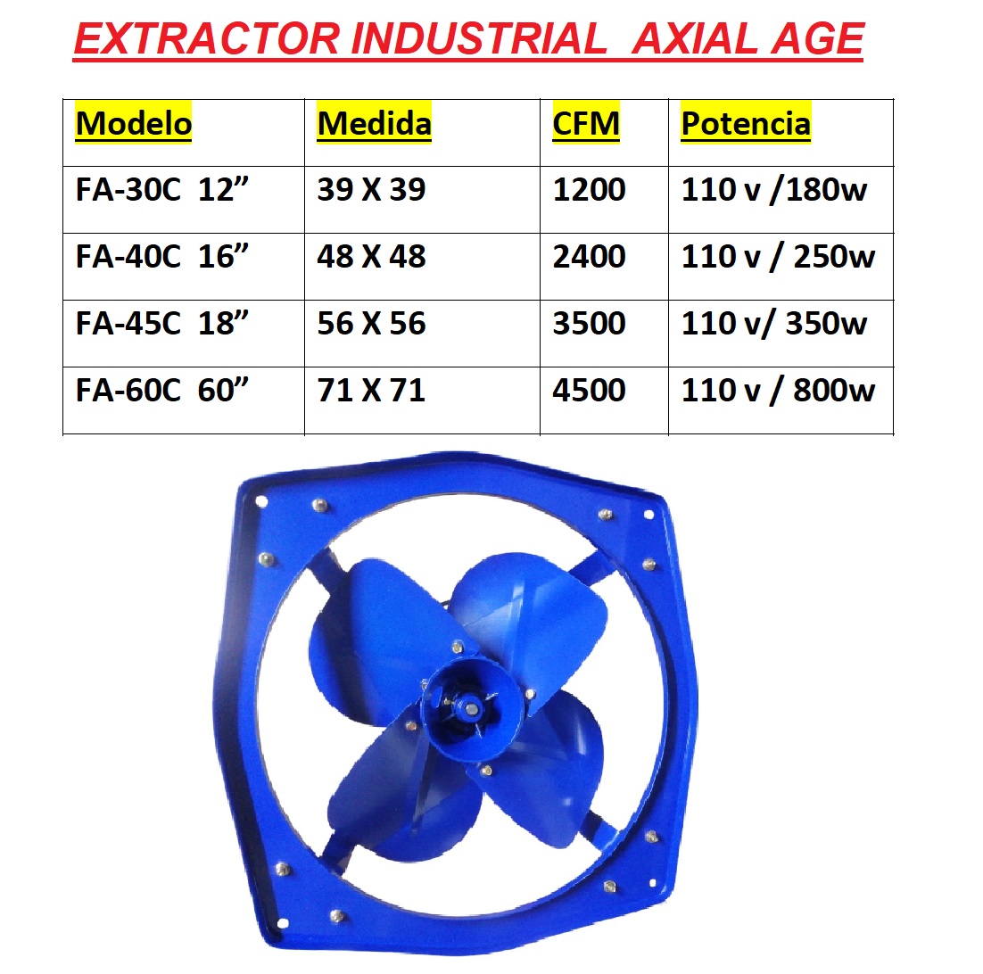 lorem ippsum dolor dummy