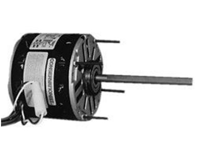 lorem ippsum dolor dummy