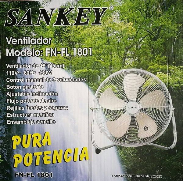 lorem ippsum dolor dummy