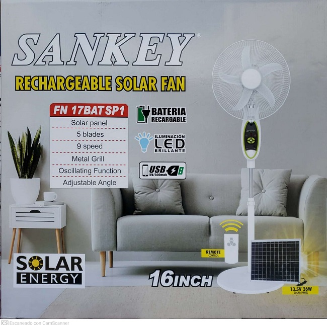 lorem ippsum dolor dummy