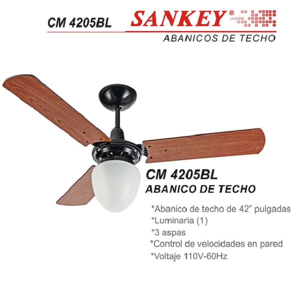 lorem ippsum dolor dummy