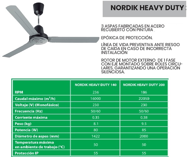 lorem ippsum dolor dummy